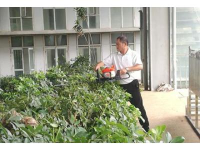 綠化養護服務(wù)